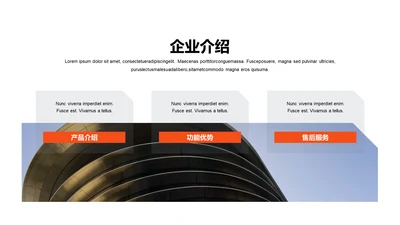 单色扁平3项企业介绍