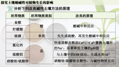 跨学科实践活动9  探究土壤酸碱性对植物生长的影响课件(共33张PPT)