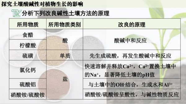 跨学科实践活动9  探究土壤酸碱性对植物生长的影响课件(共33张PPT)
