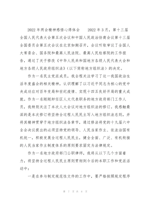 2022年两会精神感悟心得体会.docx