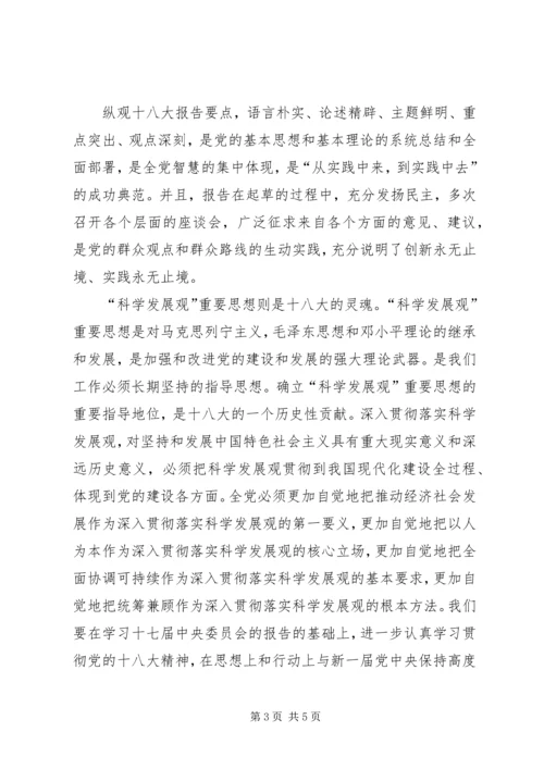 学习十八大报告心得体会2 (4).docx