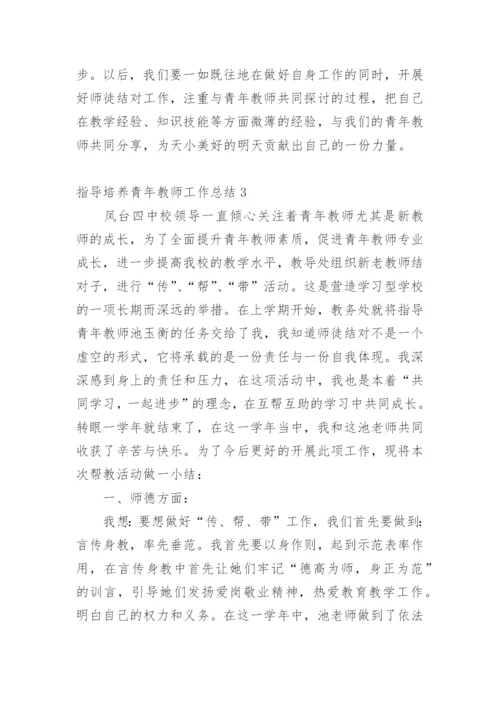 指导培养青年教师工作总结.docx