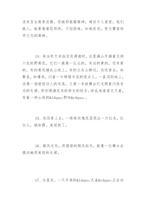描写鲜花优美的句子.docx