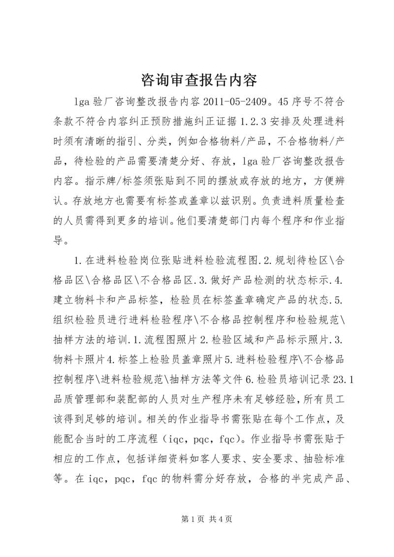 咨询审查报告内容 (2).docx