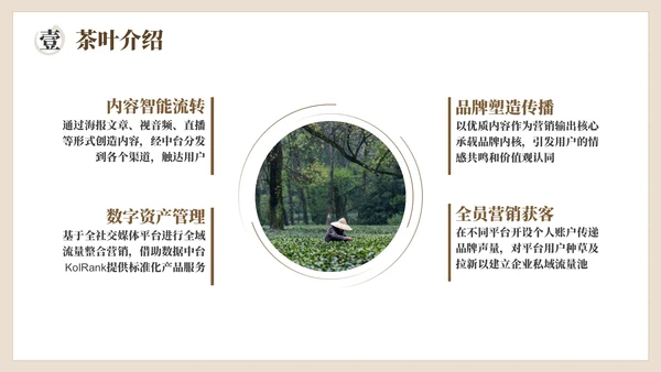 棕色茶产品介绍宣传PPT模板