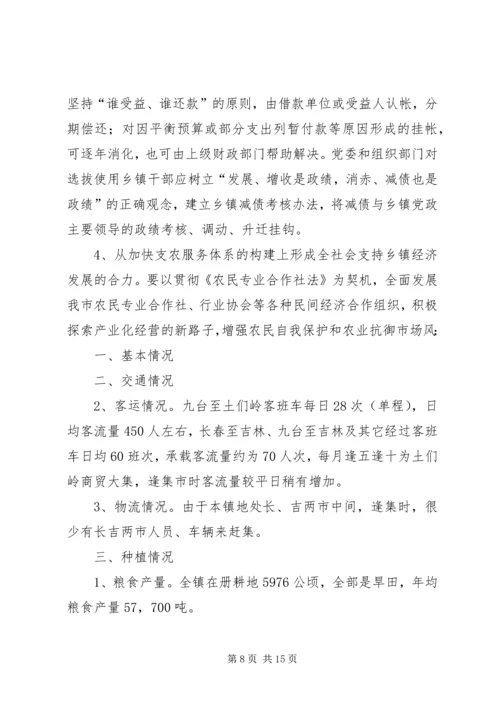 乡镇调研报告范例.docx