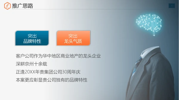 公司运营组织实施全案策划书免费PPT模板
