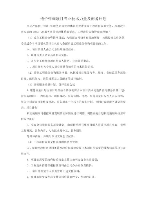 造价咨询项目专业技术力量及配备计划.docx