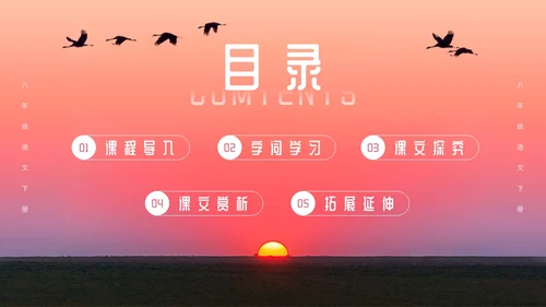 粉色简约八年级语文下册大雁归来PPT模板宣传PPT动态PP