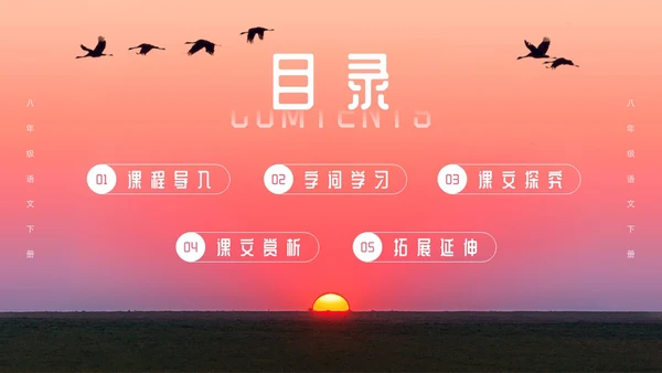 粉色简约八年级语文下册大雁归来PPT模板宣传PPT动态PP