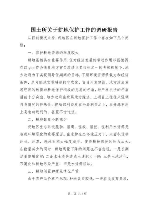 国土所关于耕地保护工作的调研报告 (3).docx