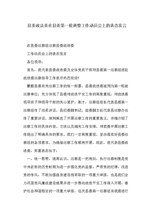 县委政法委在县委第一轮巡察工作动员会上的表态发言(共4页)