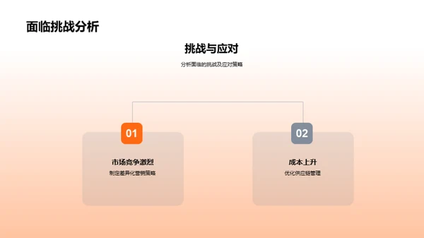 共创辉煌：年度团队回顾