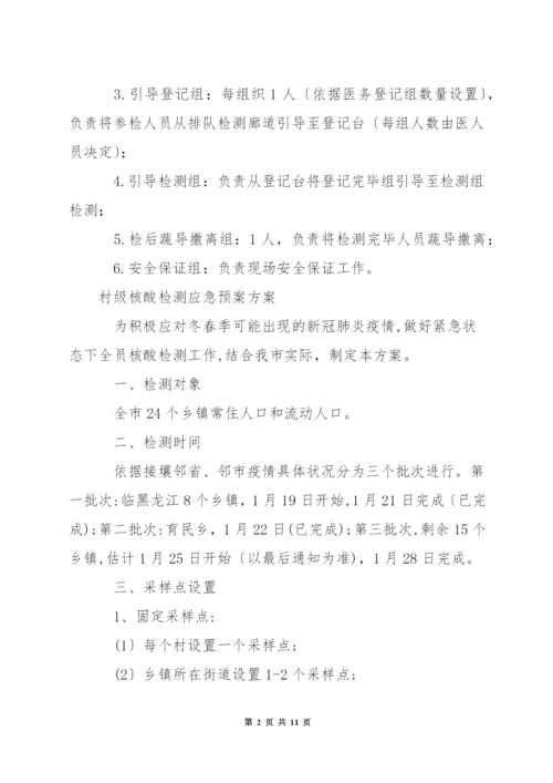 村级核酸检测应急预案方案.docx