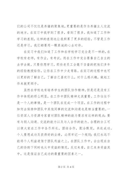 畜牧兽医专业实践个人总结 (2).docx