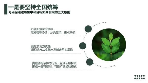 低碳经济碳达峰碳中和新理念PPT党课