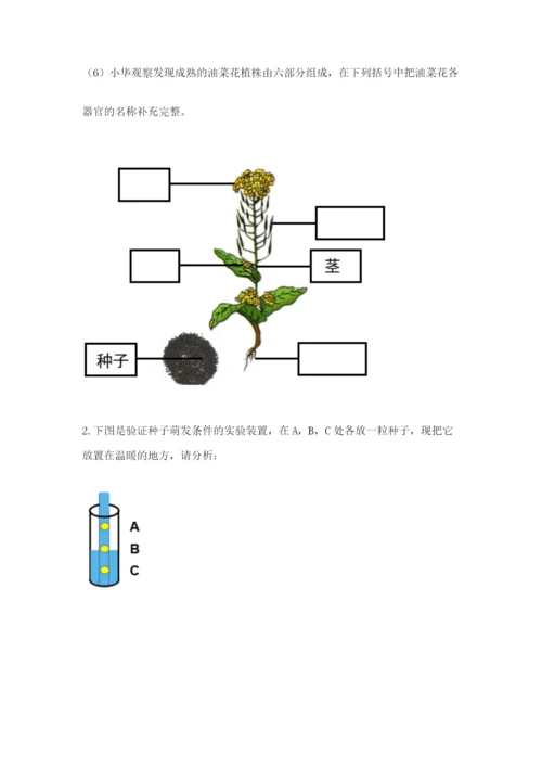 科学四年级下册第一单元《植物的生长变化》测试卷（考点梳理）.docx