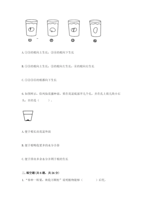 科学四年级下册第一单元植物的生长变化测试卷一套.docx