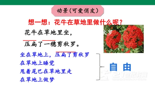 3-现代诗二首-花牛歌  课件