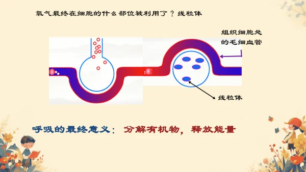 人教版（新课程标准）七年级下册4.3.2 发生在肺内的气体交换课件(共20张PPT)