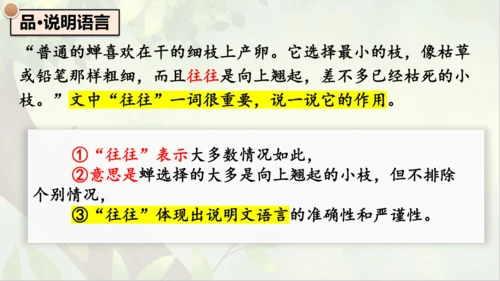 21《蝉》课件