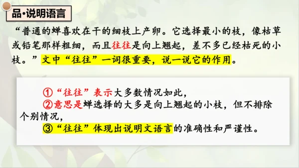 21《蝉》课件