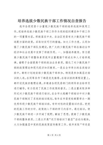 培养选拔少数民族干部工作情况自查报告 (2).docx