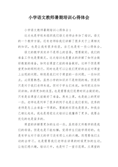 小学语文教师暑期培训心得体会_3.docx