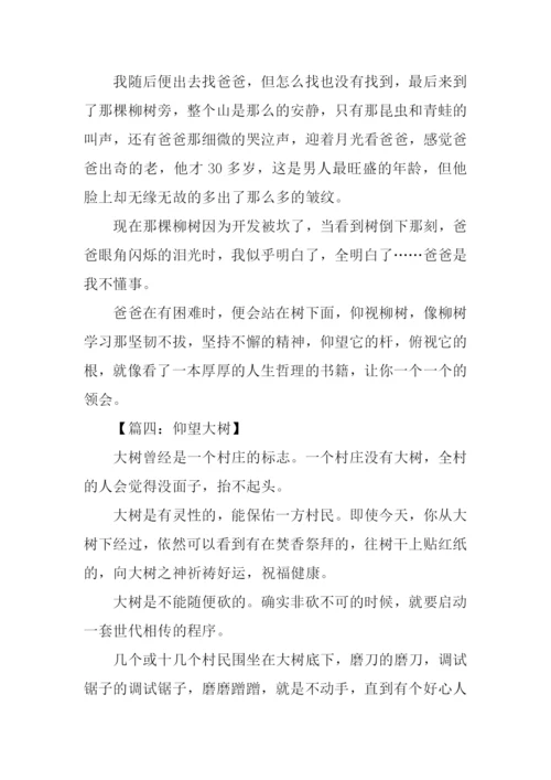 仰望大树作文1000字.docx