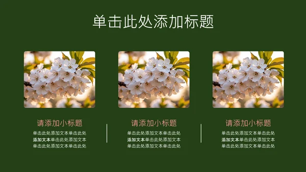 粉绿色简约几何樱花介绍
