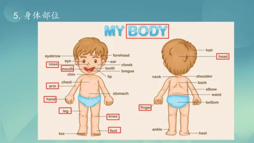 Module 11 Body language Module11 本模块综合与测试