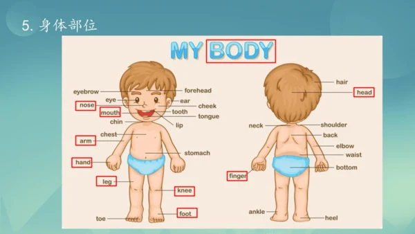 Module 11 Body language Module11 本模块综合与测试