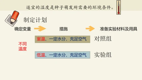 3.2.1 种子的萌发-2023-2024学年七年级生物上册优质课件（人教版）(共28张PPT)