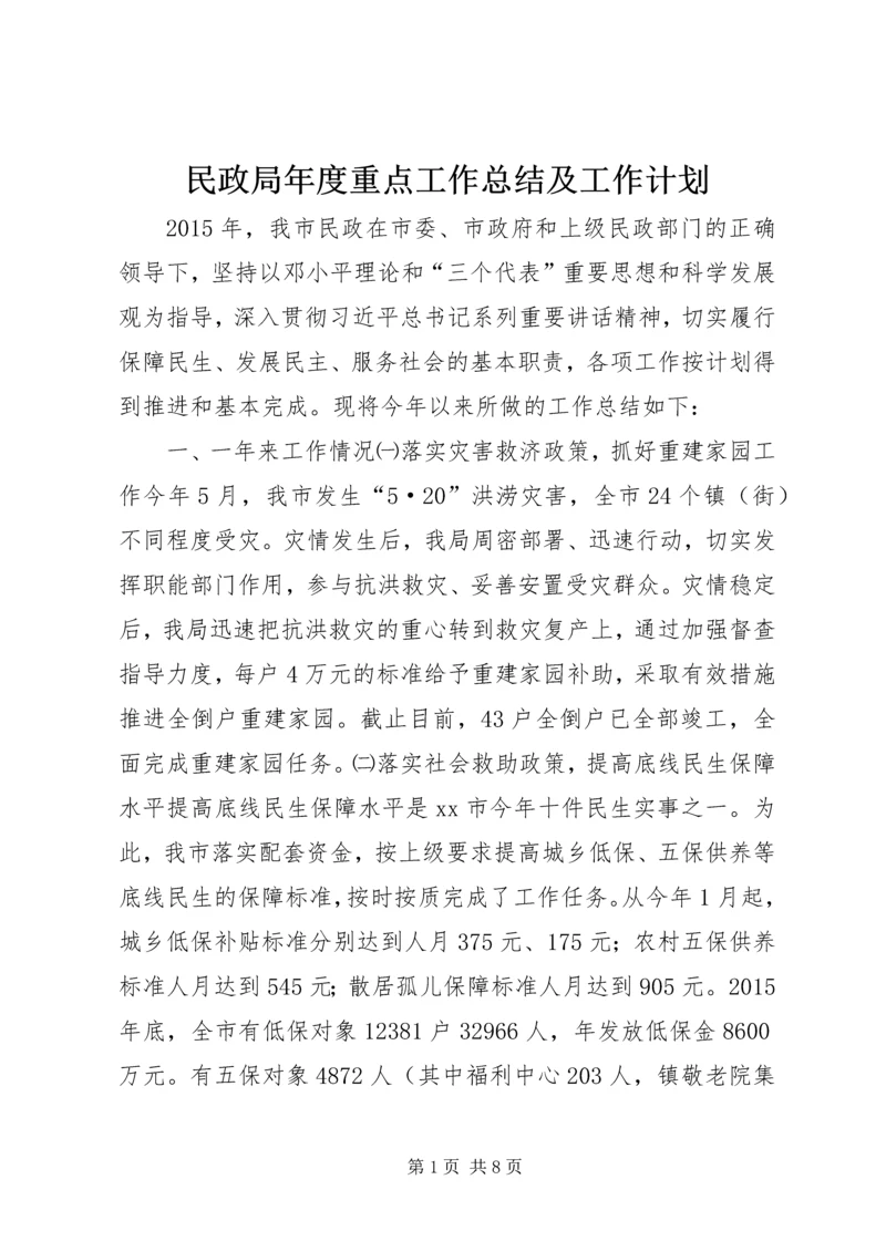 民政局年度重点工作总结及工作计划.docx