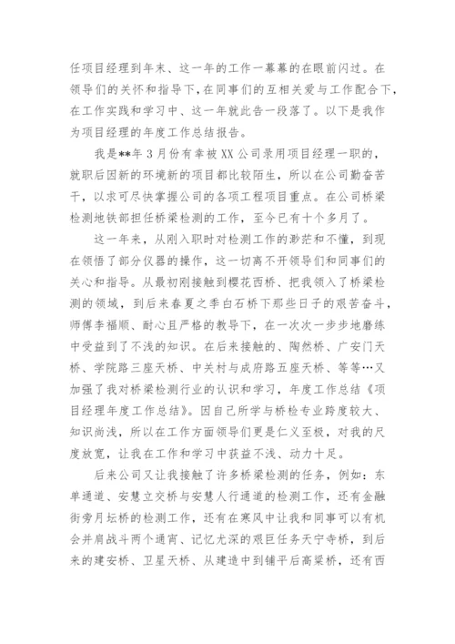 项目经理年终工作总结.docx