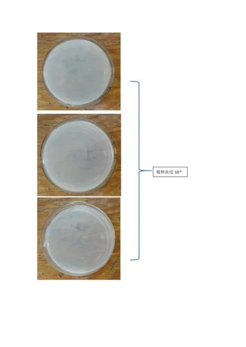 环境中微生物的检测和分离纯化.docx