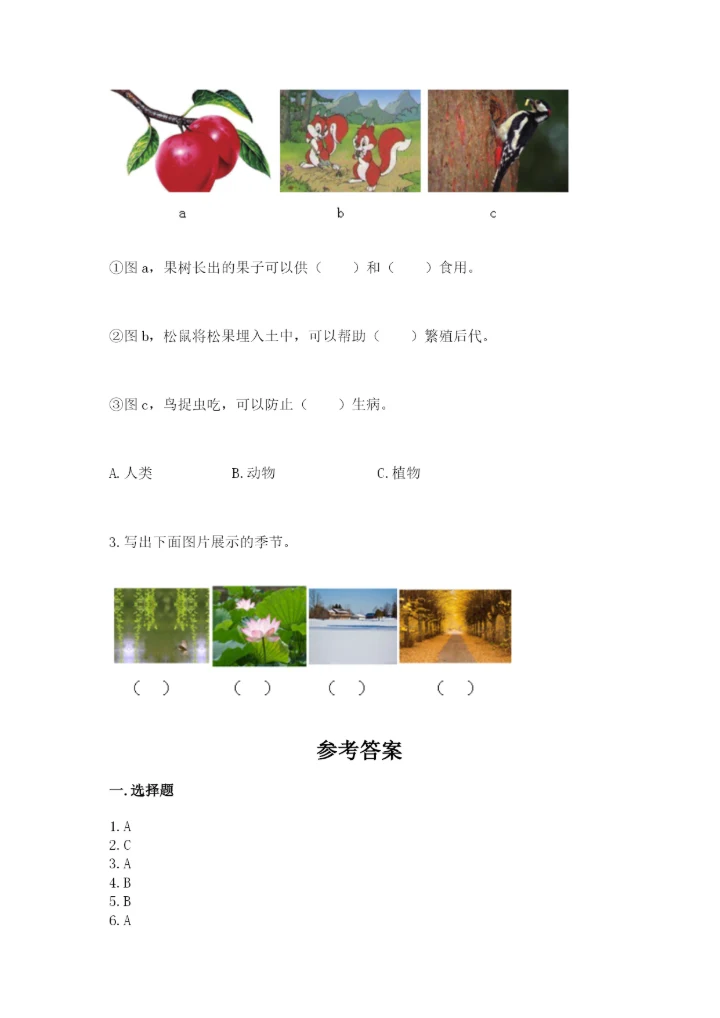 教科版科学二年级上册《期末测试卷》汇总.docx