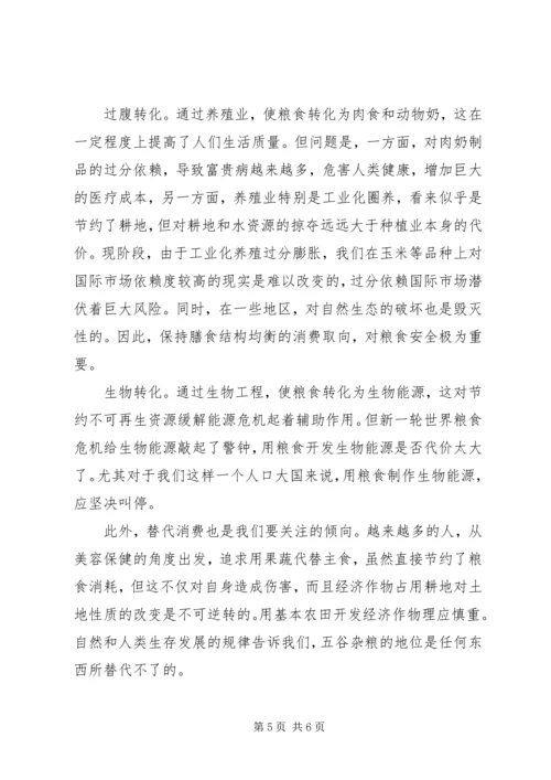 从粮价上涨审视粮食安全.docx