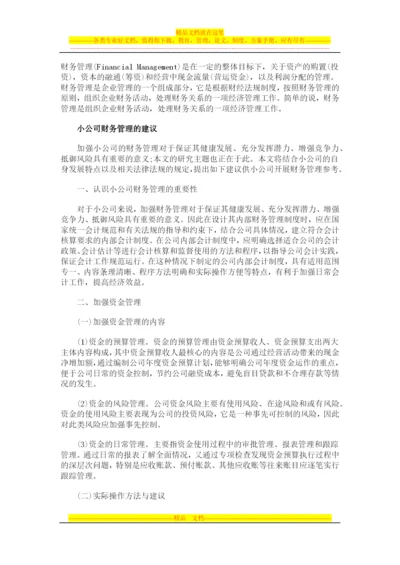 小公司财务管理的建议.docx