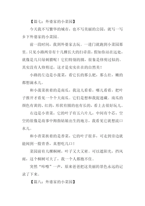 姥姥家的小菜园作文.docx