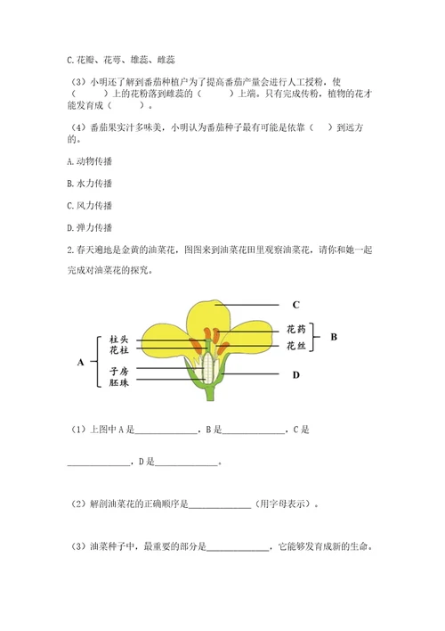 科学四年级下册第一单元植物的生长变化测试卷精品黄金题型