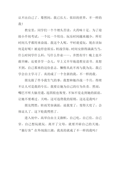 不一样的我作文500字.docx
