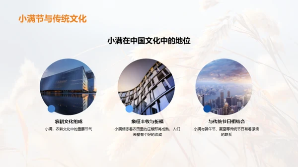 小满节气全解析