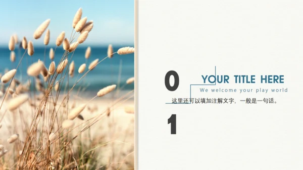 高清风景封面英文工作汇报通用PPT模板