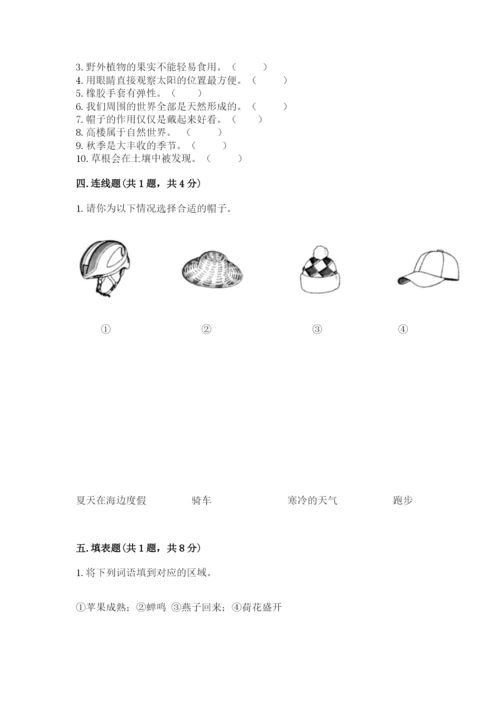 教科版二年级上册科学期末考试试卷（真题汇编）.docx