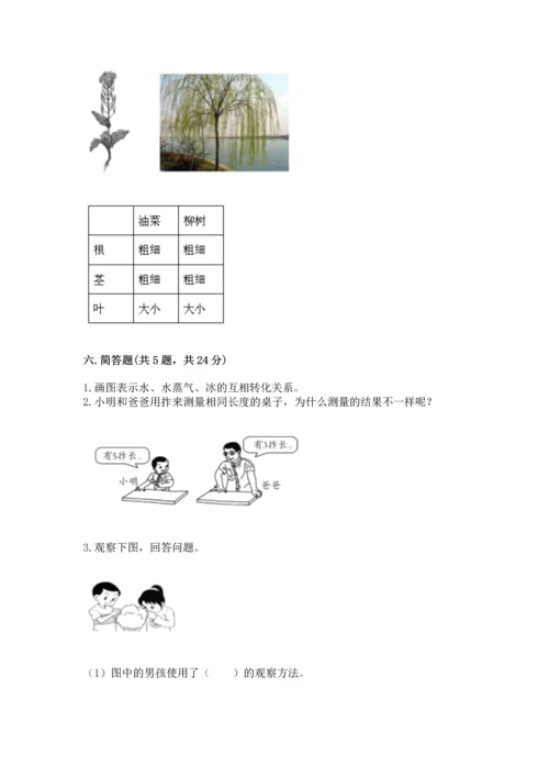 教科版小学一年级上册科学期末测试卷可打印.docx