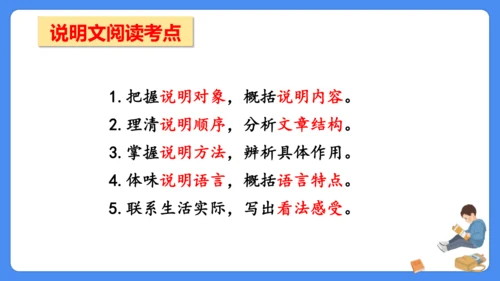 期末专项复习 说明文阅读复习（课件）-2024-2025学年语文五年级上册（统编版）