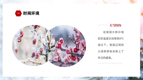 白色简约实拍雪景中国传统节气大雪节气介绍PPT