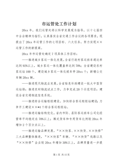 市运管处工作计划.docx