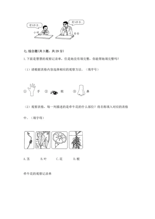 教科版科学一年级上册期末测试卷【考点提分】.docx
